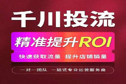 XX领域竞价广告的投放策略及效果展示